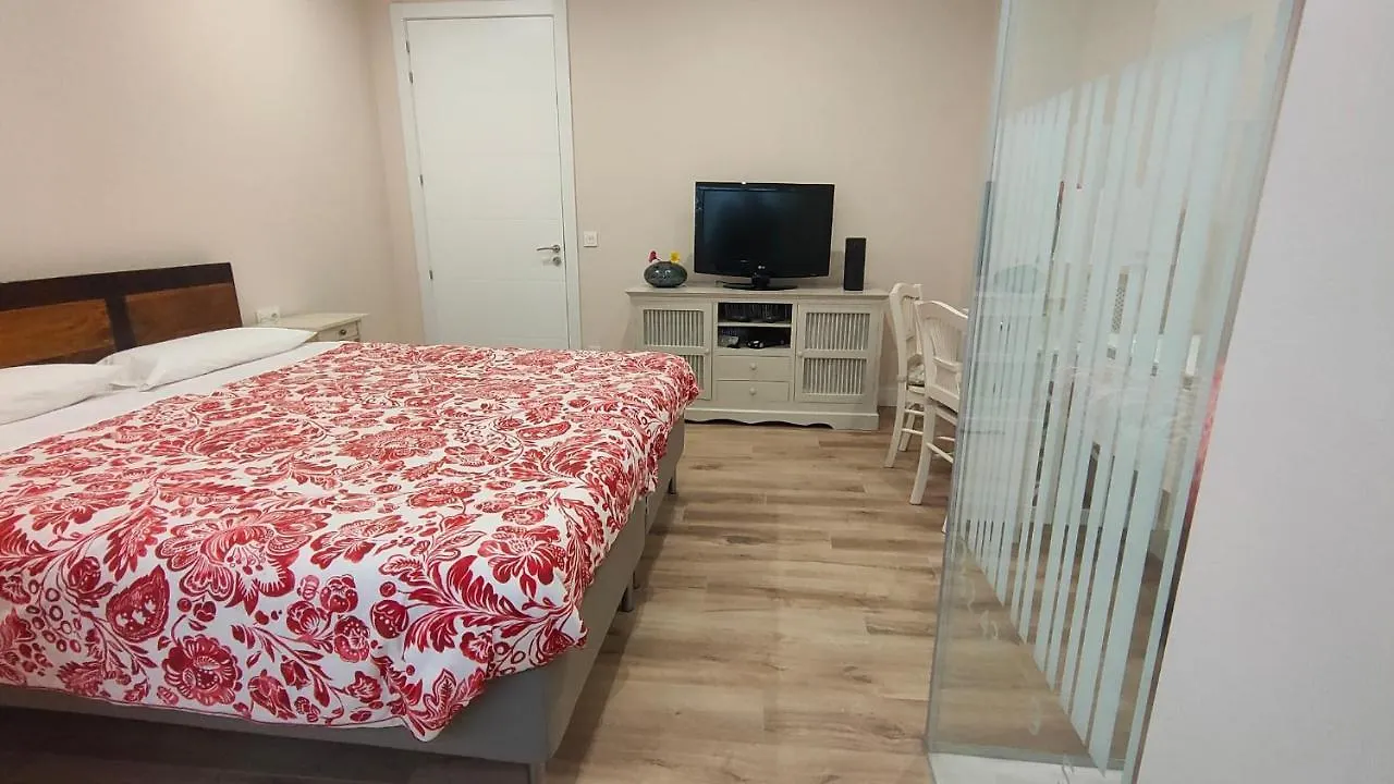 Guggenheim Bilbao Center Apartment Spain